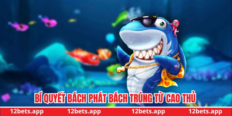 Bí quyết bách phát bách trúng