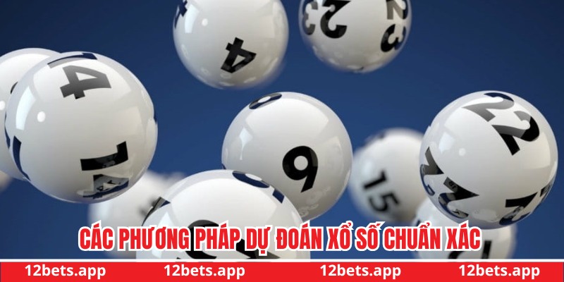 Các phương pháp thực hiện dự đoán