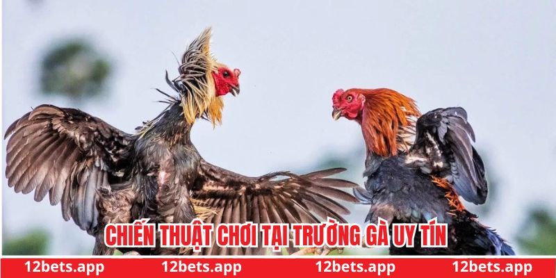 Chiến lược cược game thắng đậm tại sân chơi