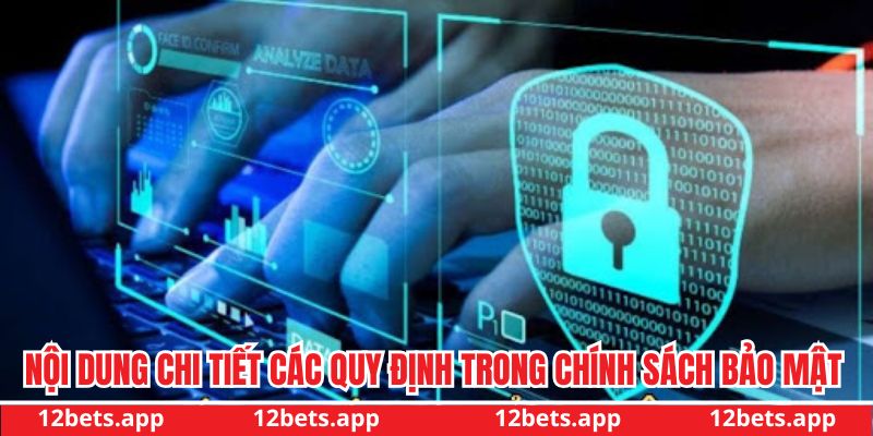 Nội dung chi tiết các quy định trong chính sách bảo mật