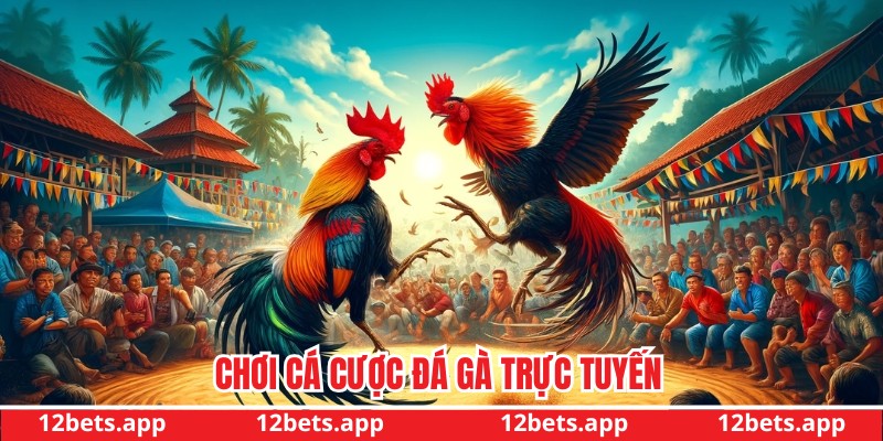 Chơi cá cược đá gà trực tuyến