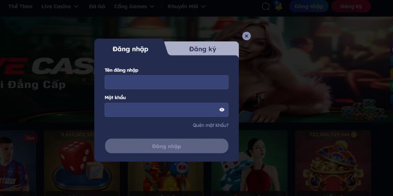 Bước 3: Cung cấp thông tin tài khoản chính xác theo yêu cầu