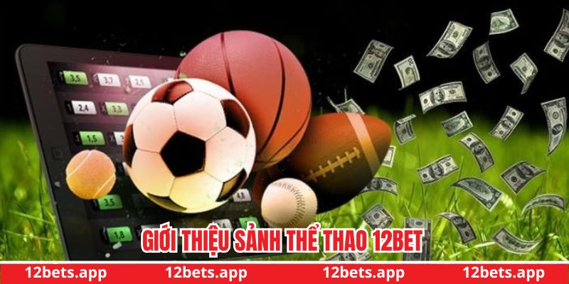 Giới thiệu về sảnh cược thể thao 12bet cực hot Giới thiệu về sảnh cược thể thao 12bet cực hotGiới thiệu về sảnh cược thể thao 12bet cực hot