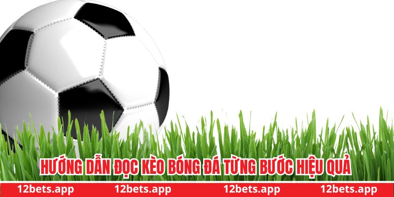 Hướng dẫn đọc kèo bóng đá từng bước hiệu quả