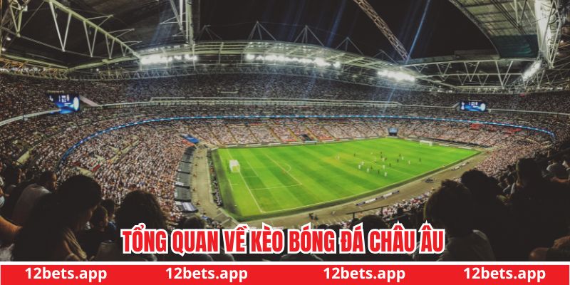 Tổng quan về kèo bóng đá châu Âu (1x2)
