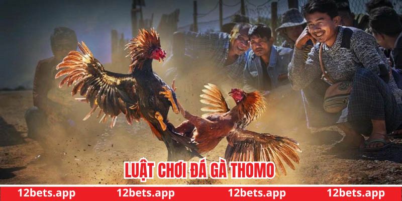 Luật lệ chơi game anh em cần hiểu rõ khi chơi