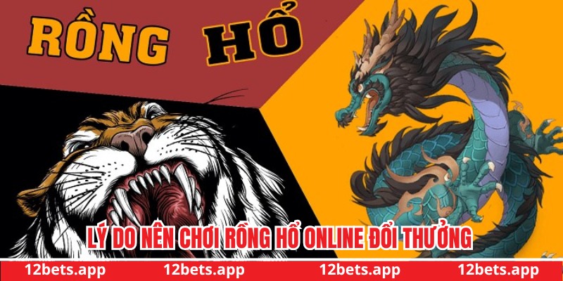 Lý do nên chơi game Rồng Hổ
