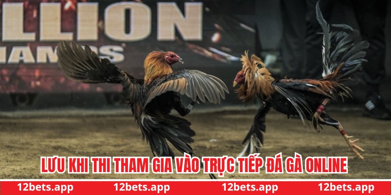 Lưu ý khi tham gia đá gà Online