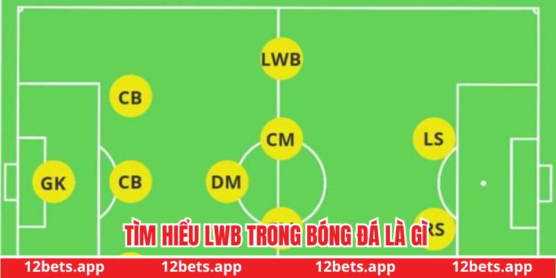 Khám phá vị trí LWB trong bóng đá là gì?