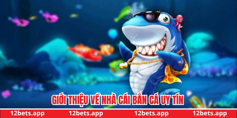 Giới thiệu về nhà cái bắn cá uy tín 12bet