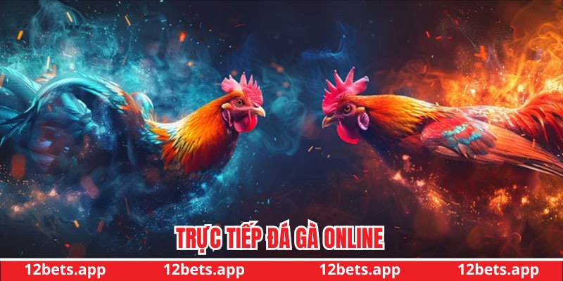 Trực tiếp đá gà online