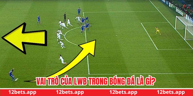 Vai trò quan trọng của vị trí LWB 